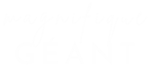 magnificient GÉANT